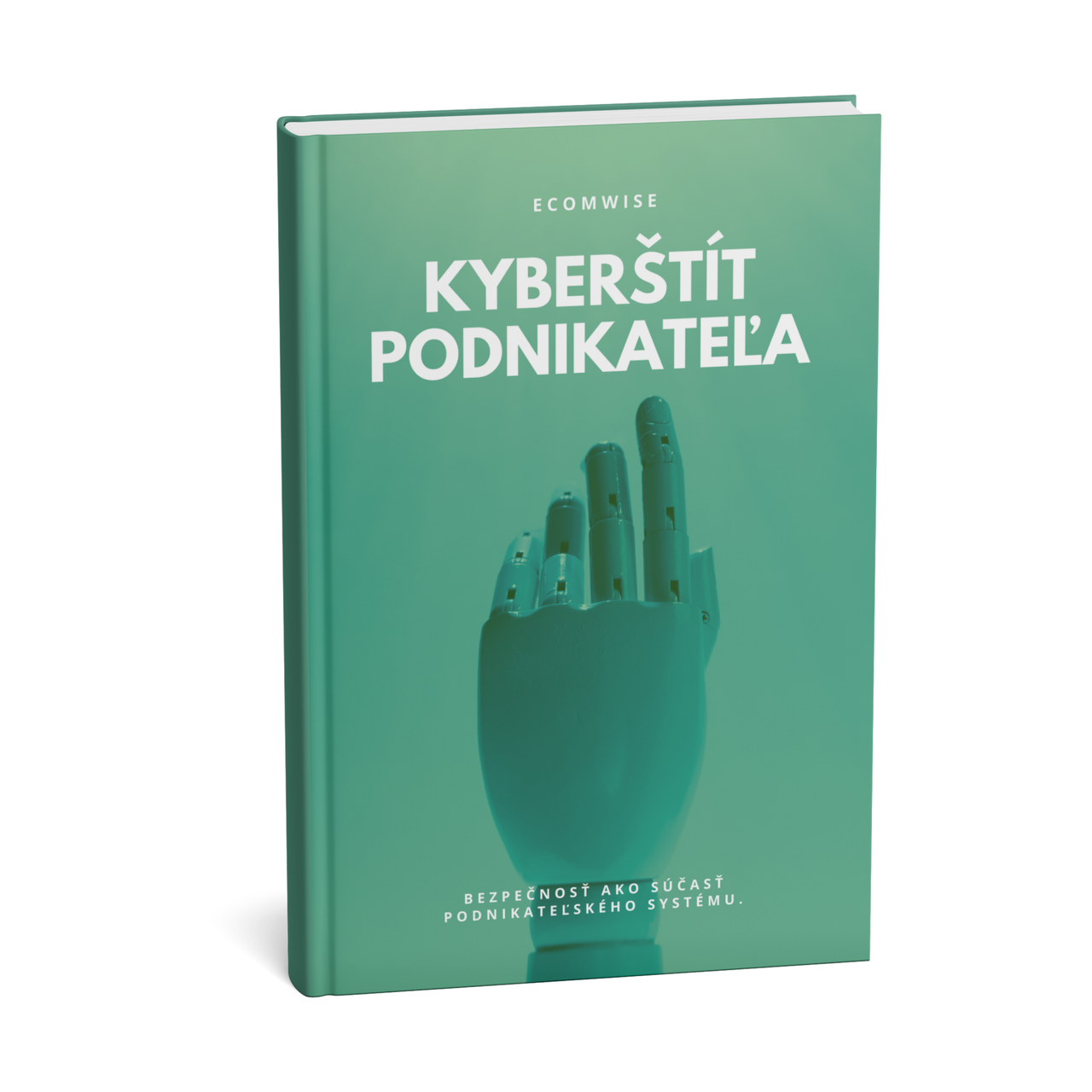 Kyberštít podnikateľa