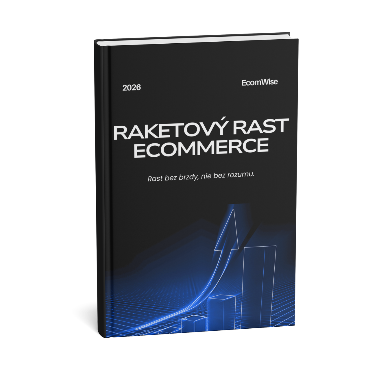 Raketový rast e-commerce